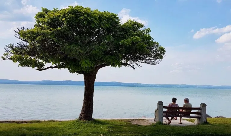 Balaton vízparti nyaralás