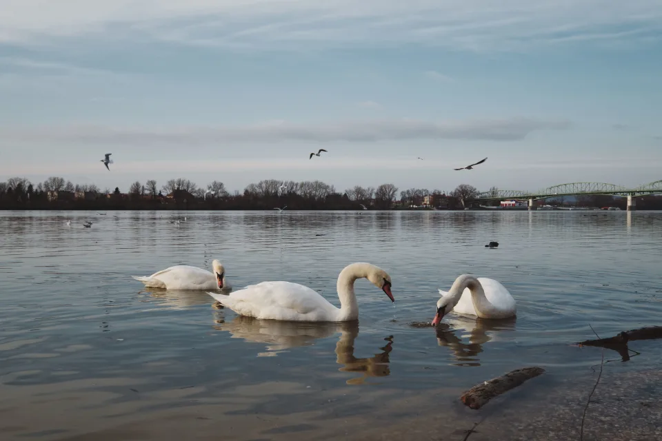 Adózás, költségek ingatlan eladás kapcsán