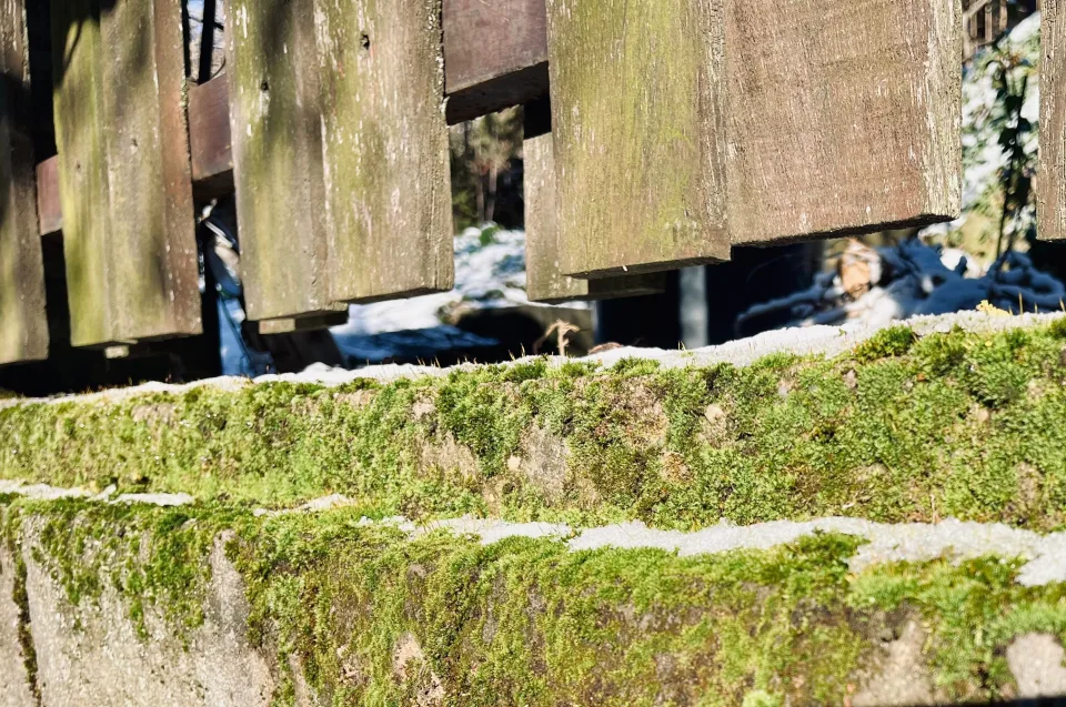 Jogszabályon alapuló elővásárlási jog esetén is igazolni kell a teljesítőképességet