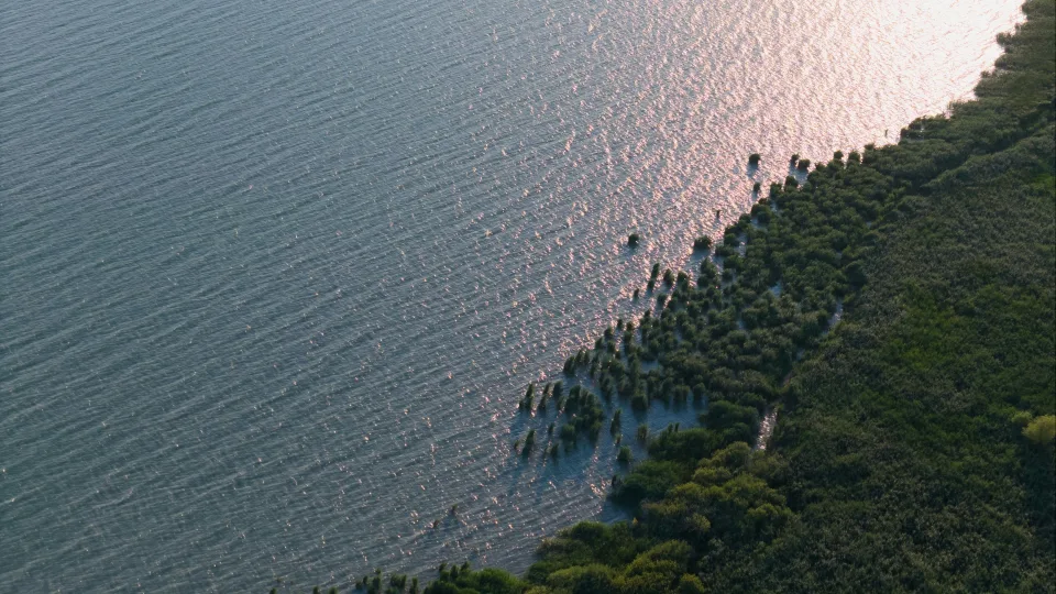 balaton